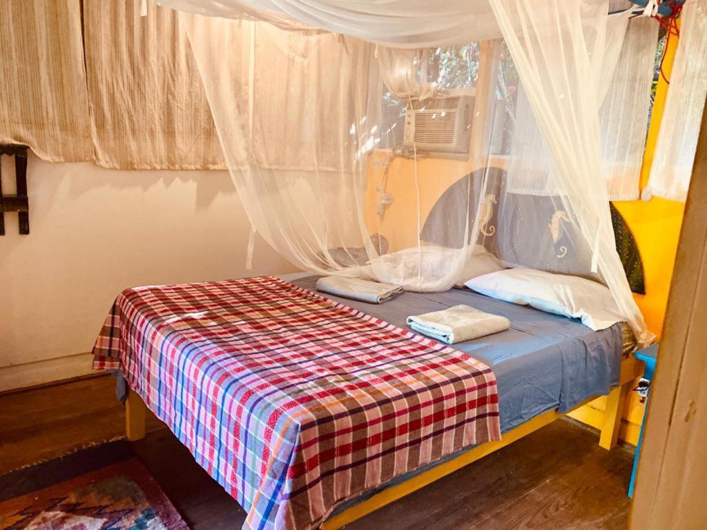 Hotel La Casa Rosada Lívingston エクステリア 写真